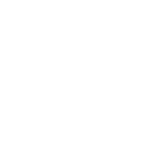 Elastic animation